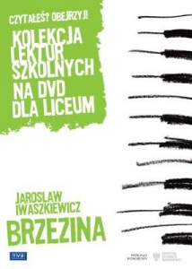 Brzezina Andrzej Wajda polnische Film auf DVD