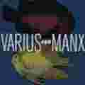 Varius Manx Ego 
