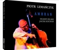 Piotr Lemanczyk Trio Amhran polnischer jazz