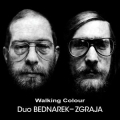Duo Bednarek-Zgraja Walking Colour polski jazz